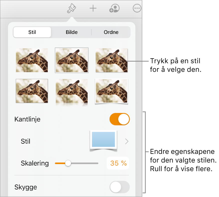 Stil-fanen i Format-menyen med objektstiler øverst og kontroller under dem for å endre kantlinje, skygge, refleksjon og opasitet.