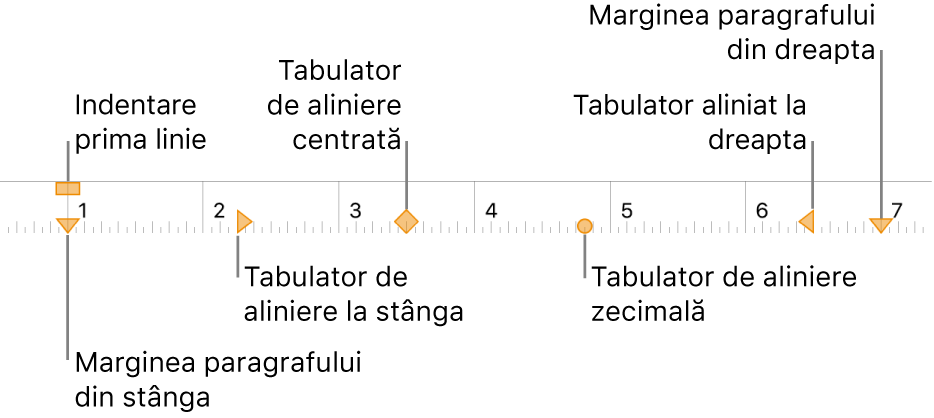 Riglă afișând comenzile pentru marginile stângă și dreaptă, indentarea primei linii și patru tipuri de stopuri de tabulare.