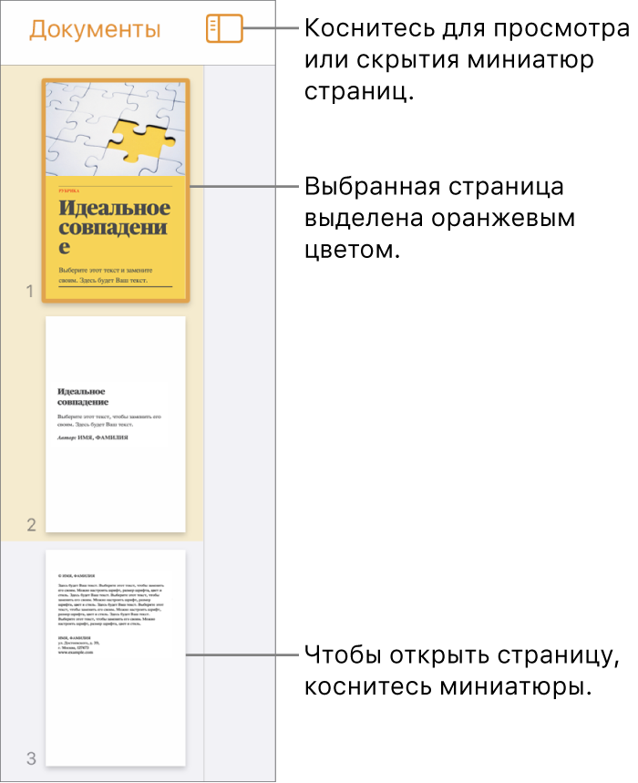 Панель «Миниатюры страниц» в левой части экрана. Выбрана одна страница. Кнопка «Параметры вида» расположена над боковой панелью миниатюр.