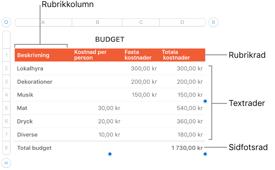 En tabell med rubrikrader och -kolumner, textrader och -kolumner, och sidfotsrader.