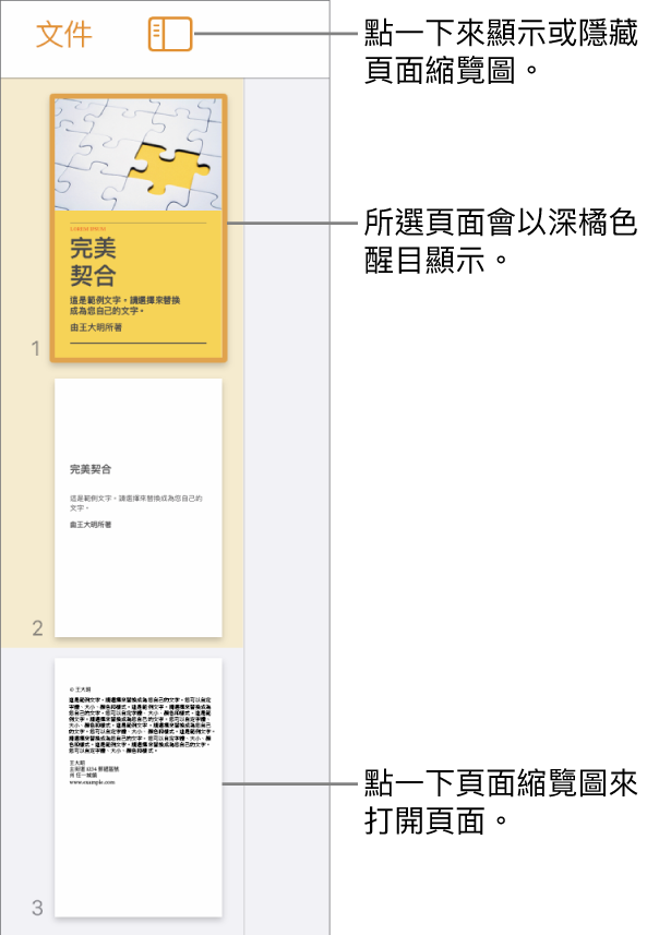 畫面左側的「頁面縮覽圖」顯示方式，顯示兩頁的章節、分隔線，以及下一個章節的一頁。「顯示方式」按鈕位於縮覽圖上方。