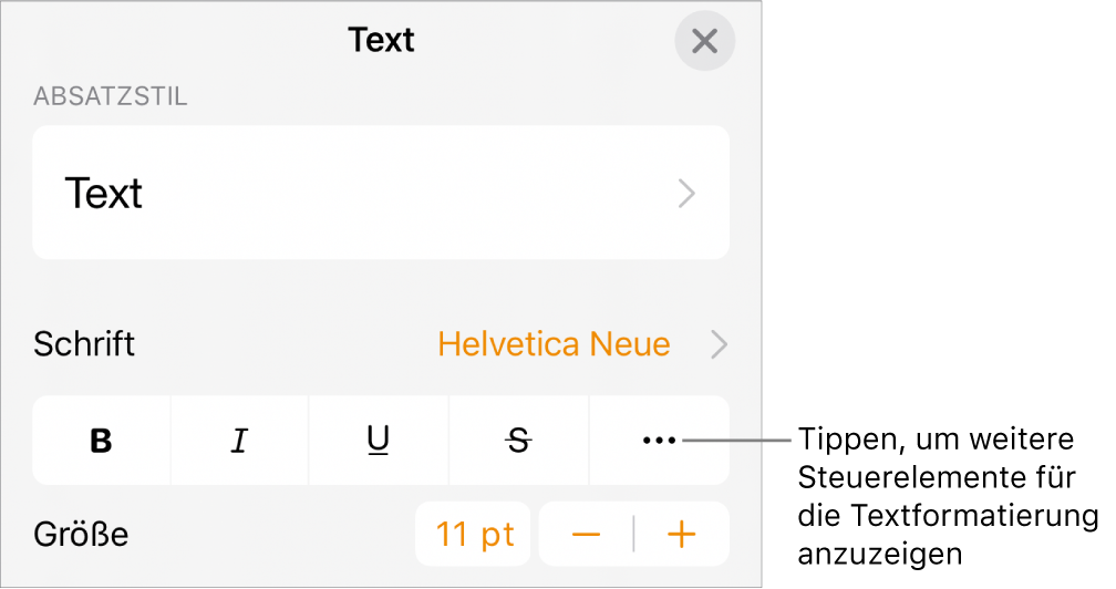 Der Tab „Text“ der Formatsteuerungen mit einer Beschreibung für die Taste „Weitere Textoptionen“.