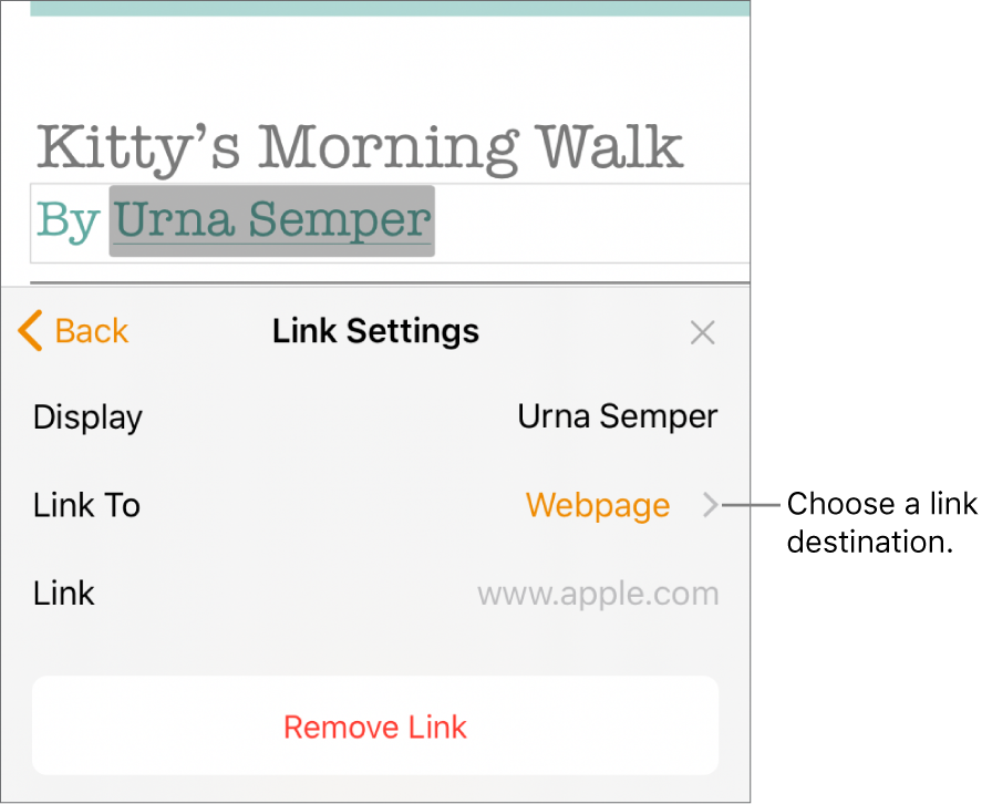 The Link Settings controls with a Display field, Link To (set to Webpage), and Link field. The Remove Link button is at the bottom of the controls.