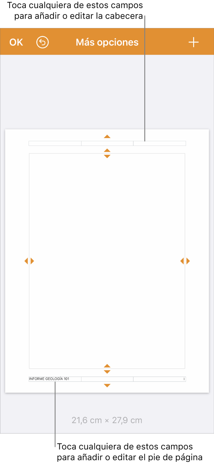 La visualización “Más opciones” con tres campos en la parte superior del documento para las cabeceras y tres campos en la parte inferior para los pies de página.