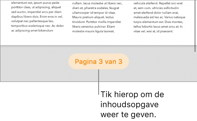 Een geopend document met eronder in het midden van het scherm het aantal pagina's ('3 van 3').