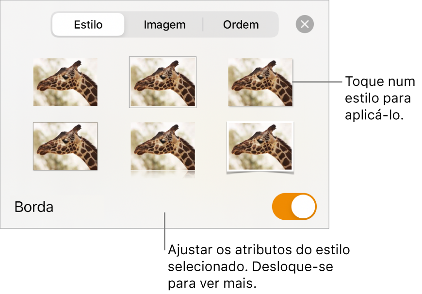 O separador Estilo com estilos de imagem na parte superior e o botão Estilo na parte inferior.