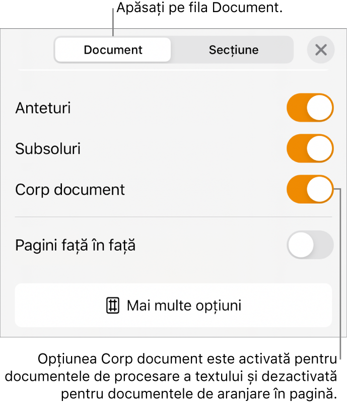 Comenzile de formatare Document cu opțiunea Corp document activată lângă partea de jos a ecranului.