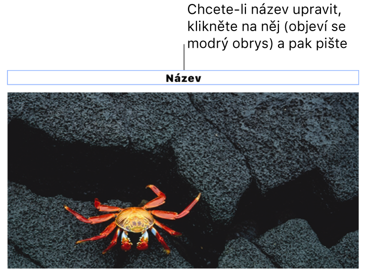 Pod fotkou se nachází maketa nadpisu s názvem „Nadpis“; pole nadpisu je zvýrazněné modrým obrysem