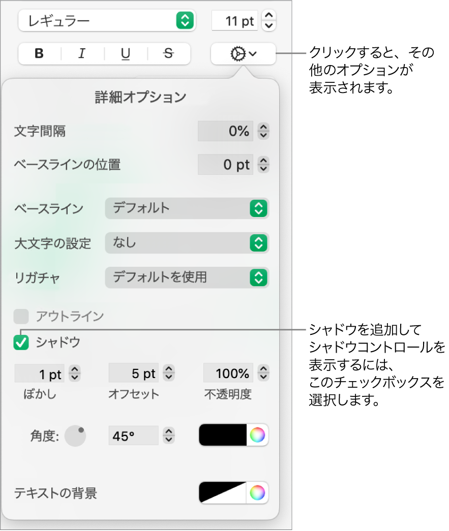 開いている「詳細オプション」メニュー。「シャドウ」チェックボックスが選択されていて、ぼかし、オフセット、不透明度、角度、および色を設定するためのコントロールが表示されている状態。