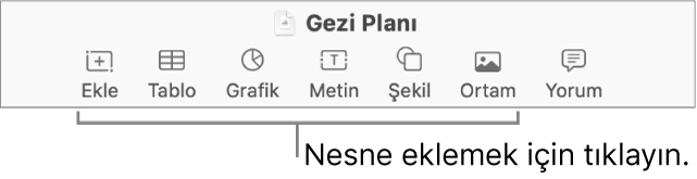 Araç çubuğundaki nesne düğmelerinin belirtimlerini içeren Numbers penceresi.