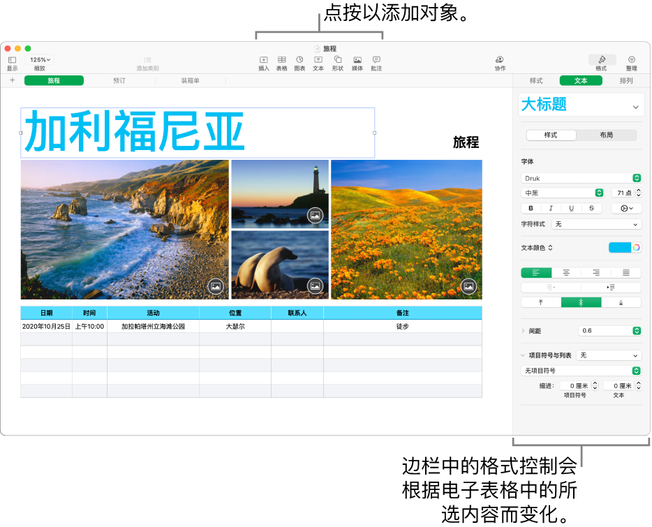 Numbers 表格窗口，其中“格式”边栏的“文本”标签已打开。