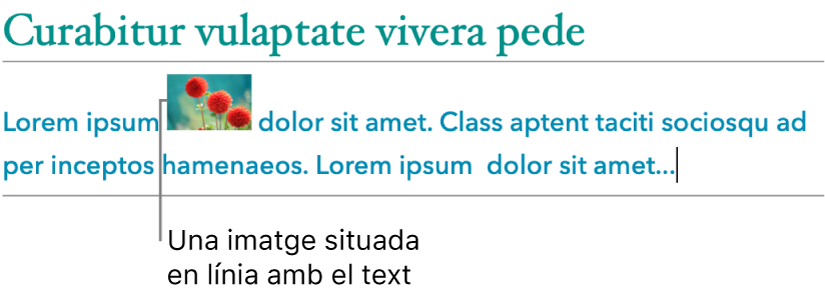 Imatge situant‑se integrada amb el text.