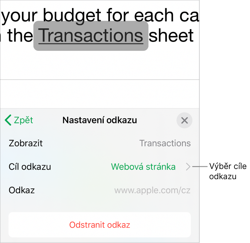 Ovládací prvky Nastavení odkazu s polem Zobrazit, Cíl odkazu (vybrána je Webová stránka) a Odkaz. Ve spodní části se nachází tlačítko Odstranit odkaz.