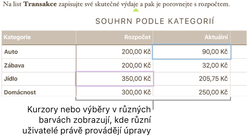 Kurzory nebo výběry v odlišných barvách ukazují, kde jiné osoby provádějí úpravy