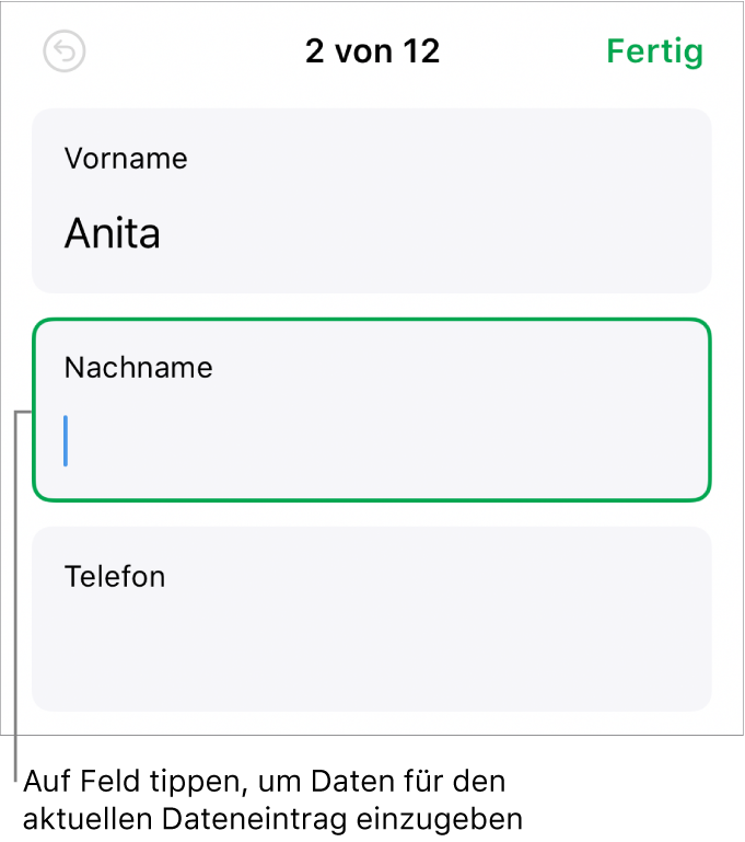 Ein Datensatz in einem Formular mit einem aktiven Feld und einer Einfügemarke.