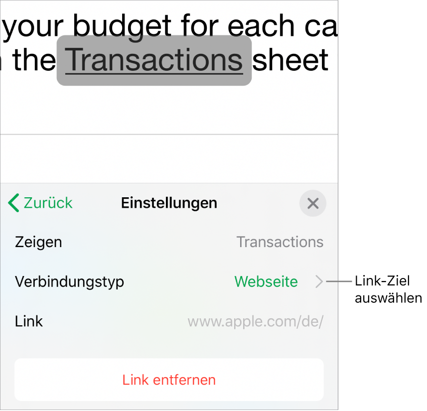 Die Steuerelemente „Linkeinstellungen“ mit den Feldern für „Anzeigen“, „Verbindungstyp“ (auf „Webseite“ eingestellt) und „Link“. Unten befindet sich die Taste „Link entfernen“.