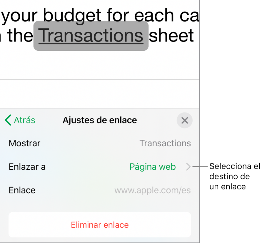 Los controles de “Ajustes de enlace” con un campo Mostrar, “Enlazar a” (ajustado a “Página web”) y Enlace. El botón “Eliminar enlace” aparece en la parte inferior.