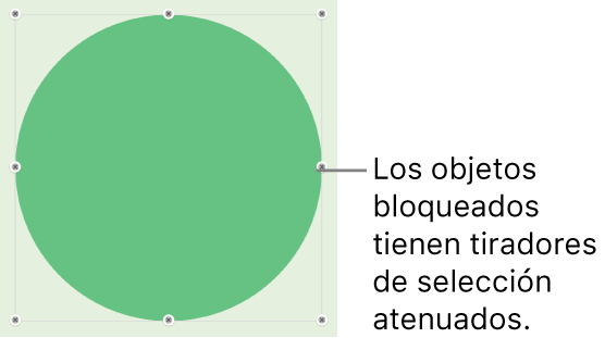 Un objeto bloqueado con tiradores de selección atenuados.