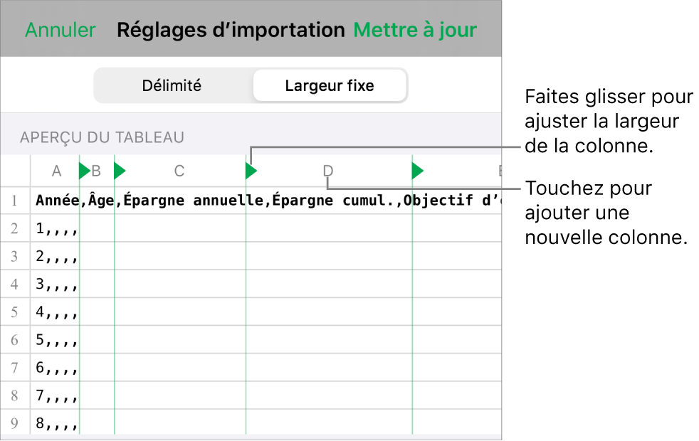 Les réglages d’importation d’un fichier texte à largeur fixe.