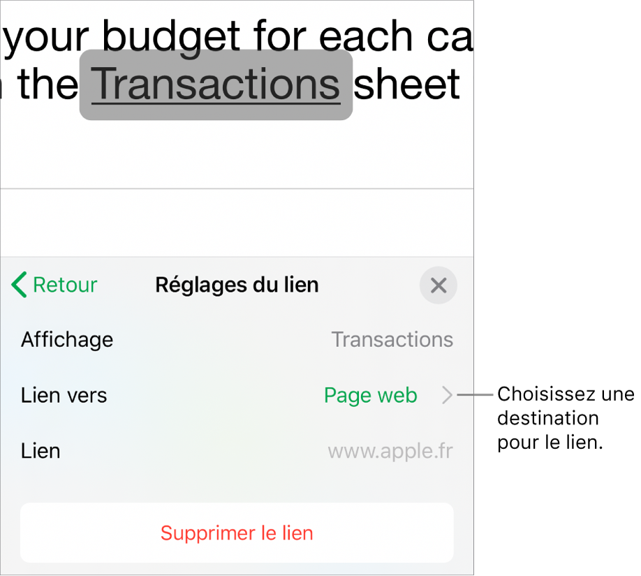 Les commandes « Réglages du lien » avec les champs Afficher, « Lier vers » (défini sur « Page web ») et Lien. Le bouton « Supprimer le lien » est situé en bas.