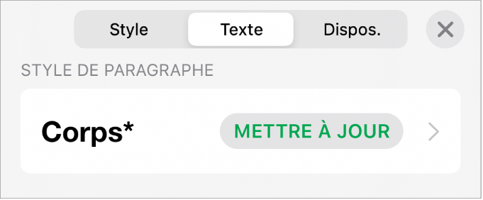 Style de paragraphe avec un astérisque à côté de celui-ci et un bouton Mettre à jour situé à droite.