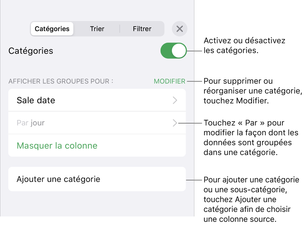 Le menu catégories pour iPhone, avec des options permettant de désactiver les catégories, supprimer des catégories, regrouper des données, masquer une colonne source et ajouter des catégories.