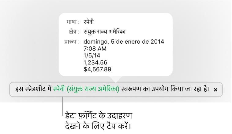 अलग भाषा और क्षेत्र सेटिंग संबंधी सूचना, जो उस भाषा और क्षेत्र के फ़ॉर्मैटिंग से जुड़े उदाहरण दर्शाती है।