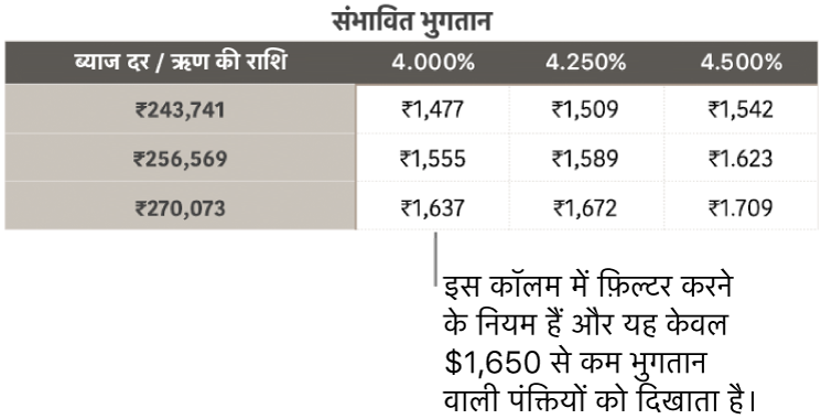 किफ़ायती ब्याज़ दरों के के लिए फ़िल्टर करने के बाद प्रदर्शित बंधक तालिका।