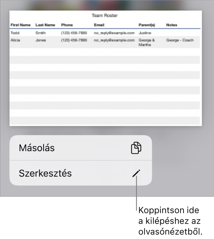 Egy kijelölt táblázat, amely alatt a Másolás és Szerkesztés gombok láthatók.