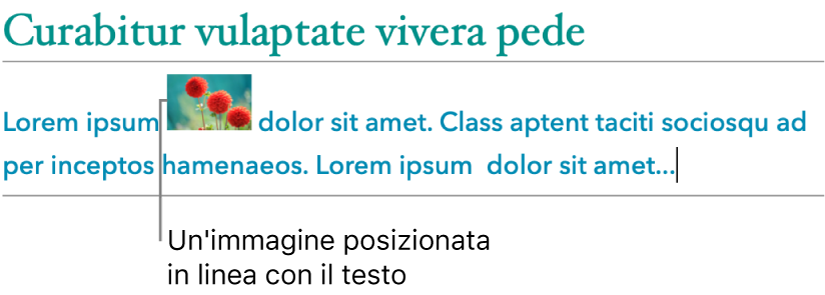 Un'immagine posizionata in linea con il testo.