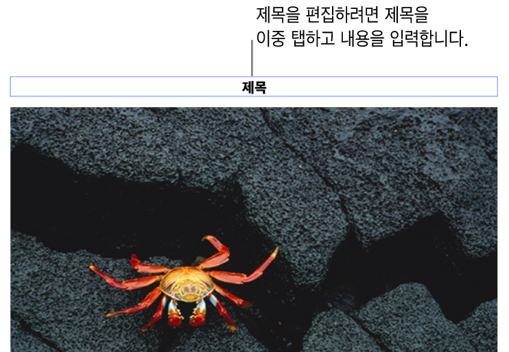 사진 아래에 ‘제목’이라고 나타나는 위치 지정자 제목. 제목 필드 주위의 파란색 윤곽선은 선택되었음을 나타냄.