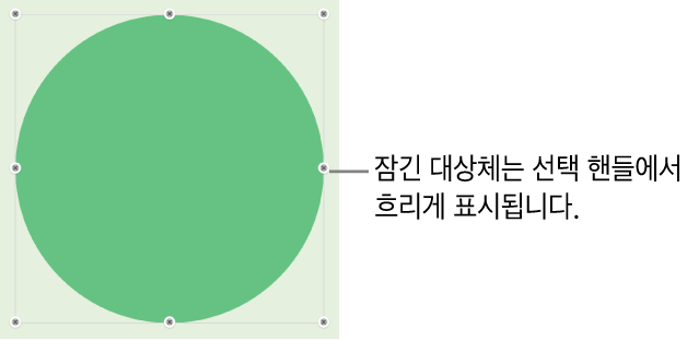 흐리게 표시된 선택 영역 핸들이 있는 잠겨 있는 대상체.