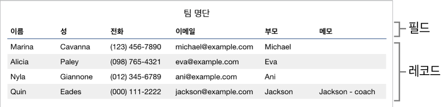 서식을 사용할 수 있도록 적절하게 설정된 필드 레이블을 포함하는 머리말 행이 있는 표와 스포츠 팀 명단의 연락처 정보가 표시된 레코드 목록.