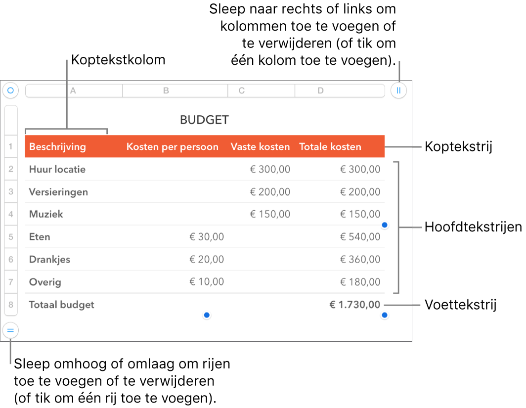 Een tabel met koptekst-, hoofdtekst- en voettekstrijen en -kolommen en selectiegrepen voor het toevoegen of verwijderen van rijen en kolommen.