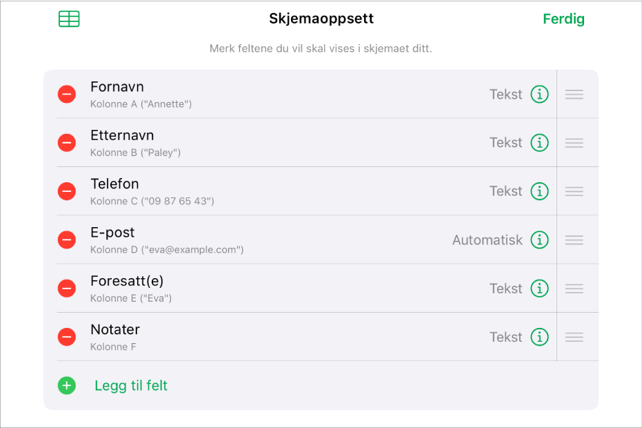 Skjemaoppsett-modus med valg for å legge til, redigere, endre rekkefølgen på og slette felter, i tillegg til endring av feltformat (for eksempel fra Tekst til Prosent).