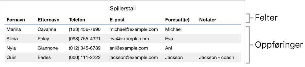 En tabell som er korrekt satt opp for bruk av skjemaer, med en tittelrad som inkluderer feltetikettene og en liste med oppføringer som viser kontaktinformasjon for et idrettslag.