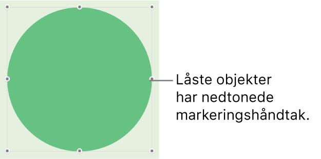 Et låst objekt med nedtonede markeringshåndtak.