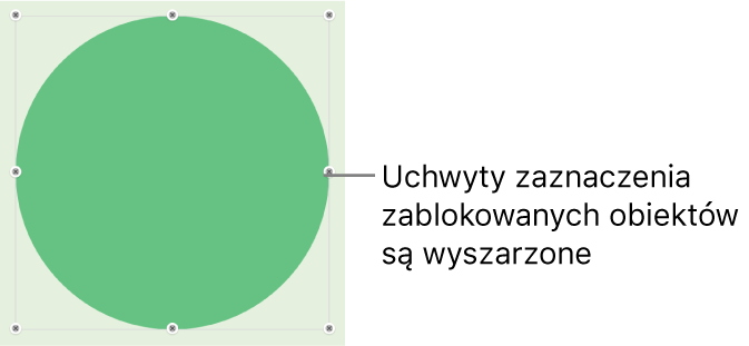 Zablokowany obiekt z wyszarzonymi uchwytami zaznaczenia.