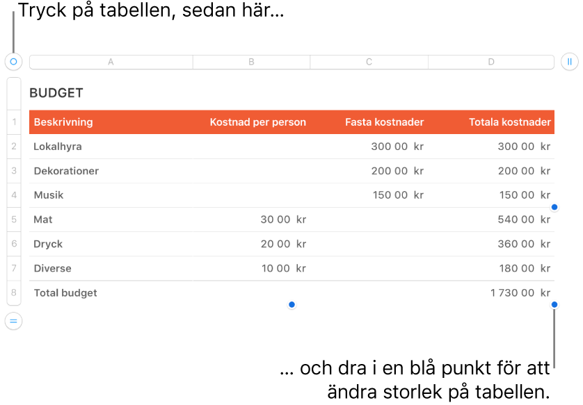 En markerad tabell med blå punkter som används till att ändra storleken.