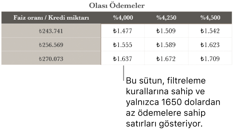 Karşılanabilir faiz oranları için filtre uygulandıktan sonra görünen ev kredisi tablosu.