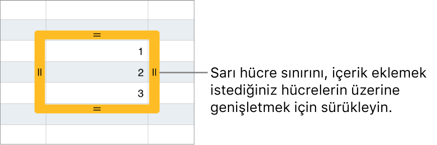 Hücreleri otomatik doldurmak için sürükleyebileceğiniz büyük sarı sınırlı seçili bir hücre.