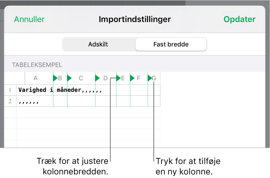 Importindstillingerne til et tekstarkiv med fast bredde.