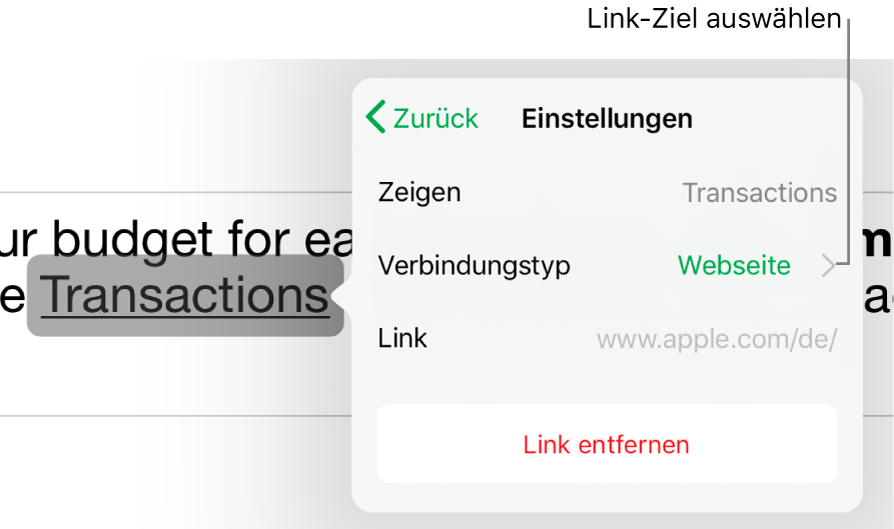 Die Steuerelemente „Linkeinstellungen“ mit den Feldern für „Anzeigen“, „Verbindungstyp“ (auf „Webseite“ eingestellt) und „Link“. Unten befindet sich die Taste „Link entfernen“.