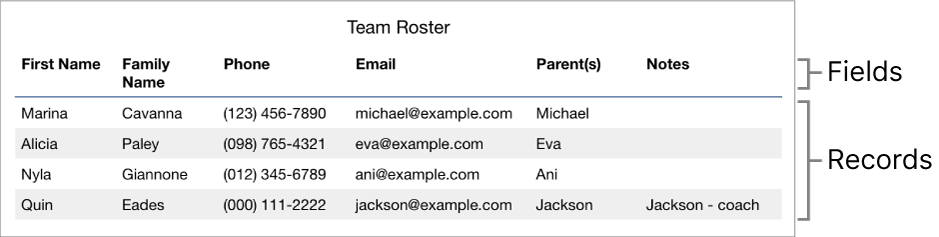 A table properly set up for use with forms, with a header row that includes the field labels and a list of records showing contact information for a sports team roster.