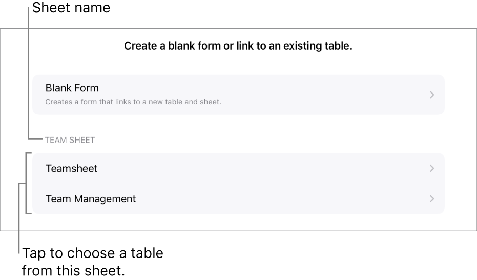 A list of tables that are in the same spreadsheet with the option to create a blank form at the top.