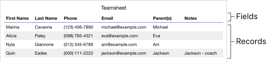 A table properly set up for use with forms, with a header row that includes the field labels and a list of records showing contact information for a sports team roster.