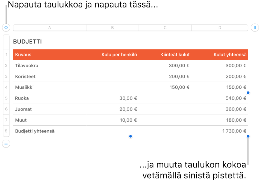 Valittuna taulukko, jossa on siniset pisteet koon muuttamiseen.