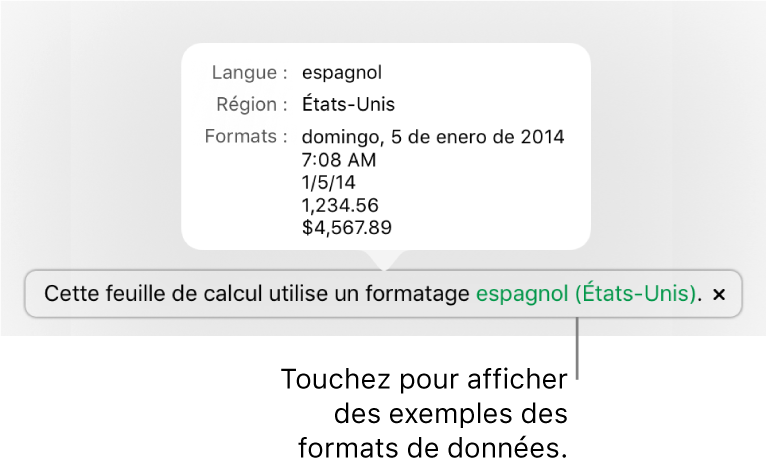 La notification du réglage de langue et de région différent affichant des exemples de la mise en forme correspondant à cette langue et à cette région.