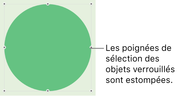 Un objet verrouillé présentant des poignées de sélection grisées.