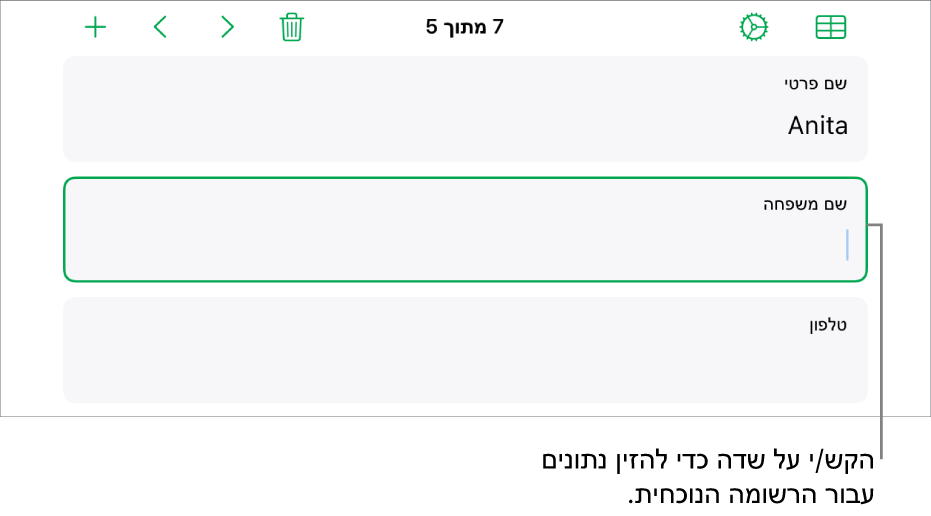 רשומה בטופס המציגה שדה פעיל עם נקודת כניסה.